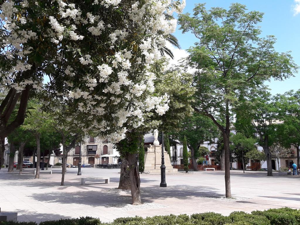 Apartamentos Sol De Mayo Úbeda Exteriér fotografie